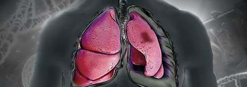 Terapia genética usa adenovírus modificado para reduzir em até 80% tumor de pulmão