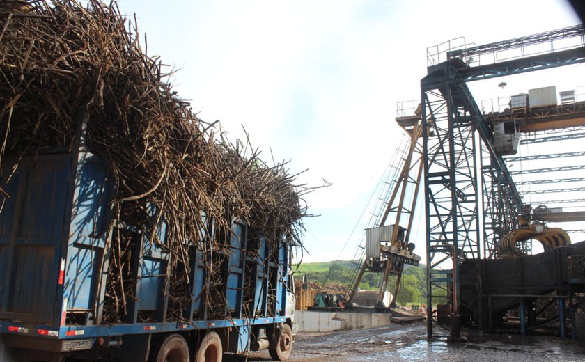 Safra 21/22 acumula mais 8,5 milhões de toneladas de cana processadas