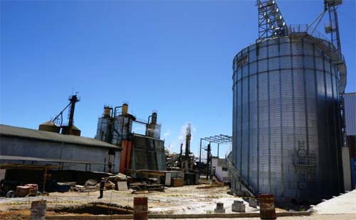 O começo de uma nova história: Alagoas começa a produzir etanol de milho