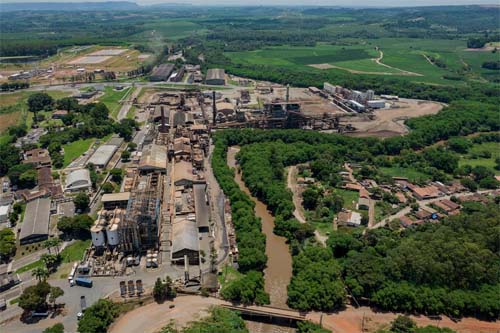 Raízen: A Queda de uma Gigante do Açúcar e Etanol