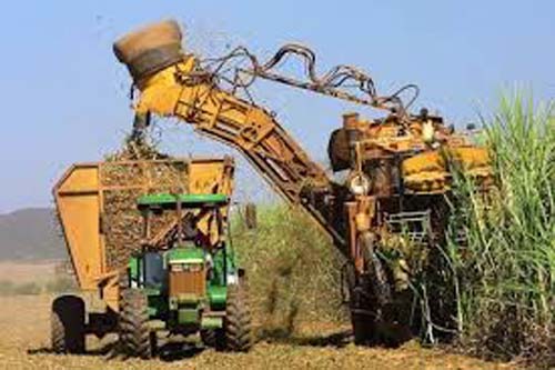 Usina Terra Nova voltará a moer, gerando mais de 2 mil empregos diretos