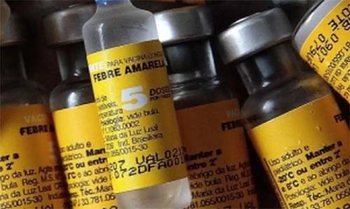 Saúde confirma casos de febre amarela em macacos em Ribeirão Preto, SP