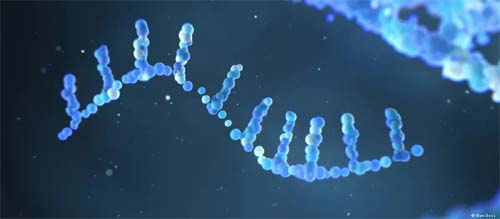 Vacina de mRNA traz esperança para tratamento do câncer