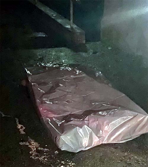 Homem é assassinado a tiros próximo a torre de alta tensão, no Trapiche da Barra