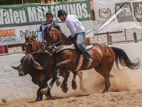 “A lei traz segurança jurídica”, diz associação alagoana sobre regulamentação da vaquejada