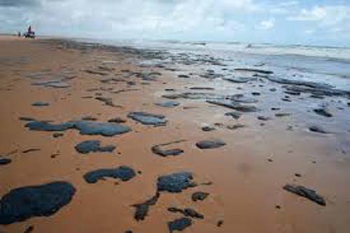 Defesa põe Forças Armadas à disposição para combater manchas de óleo