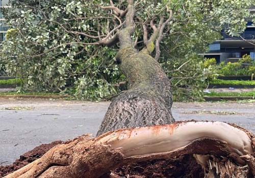 Ventos atingem até 85 km/h e causam destruição em Belo Horizonte; intensidade chega a 72% do poder de um furacão