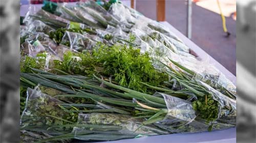 Onda de Calor Pode Aumentar Preços de Carne, Hortaliças, Peixes e Ovos