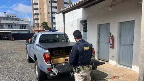 Caminhonete Falsa da Receita Federal é Detida com Grande Quantidade de Drogas no Paraná