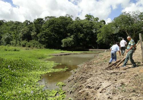 Prefeito de Viçosa decreta situação de emergência por causa da seca