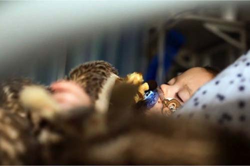 VSR: o pouco conhecido vírus que se espalha entre crianças no mundo e também no Brasil