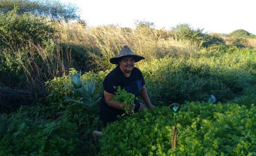 Viúvas pobres, um alvo frágil da reforma da Previdência