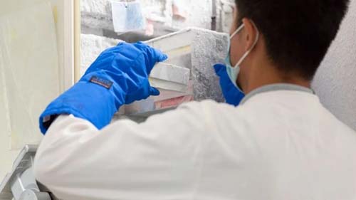 O outro vírus que preocupa a Ásia (e como os cientistas tentam evitar que provoque mais uma pandemia)