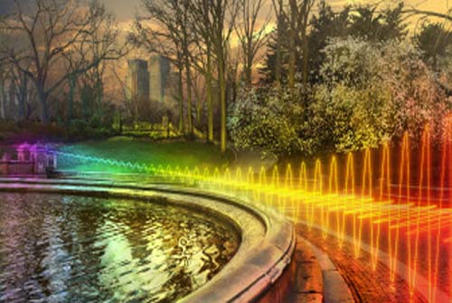 Plantas não crescem perto de roteadores Wi-Fi 