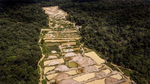 Criança indígena Yanomami é morta a tiros em ataque