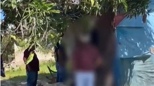 Homem é preso por zoofilia e maus-tratos a animais em Murici